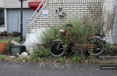 Zona de înstrăinare a Fukushima, o lume abandonată în fotografii