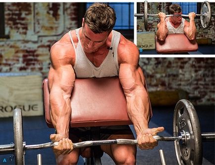 13 Consiliile Mr. Univers pentru antrenamentul bicepsului