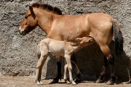 21. Egy hely, amely megér egy látogatást Odesszában