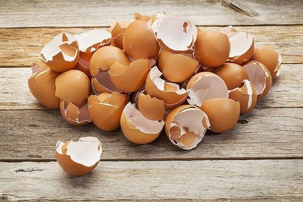 6 ok, hogy ne dobja a tojáshéj