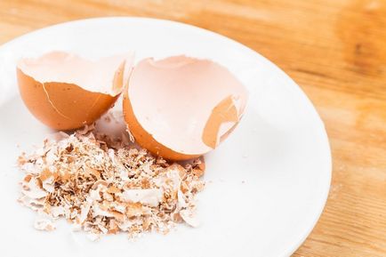 6 Причин не викидати яєчну шкаралупу