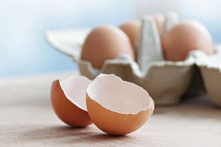 6 ok, hogy ne dobja a tojáshéj