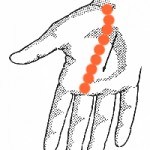 Acupressure și tulburări hormonale, blog yoga