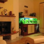 Akvárium a belső a lakás (nappali és egyéb helyiségek) bázissal és fotó nélkül
