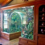 Akvárium a belső a lakás (nappali és egyéb helyiségek) bázissal és fotó nélkül