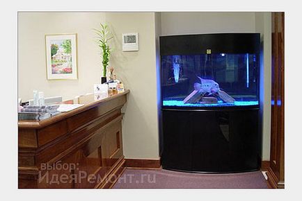 Акваріум в квартирі 10 способів вписати акваріум в інтер'єр - нові ідеї 2017, фото - вітальня,