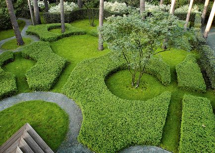 Олександр Гривко - ландшафтний дизайнер, що створює прекрасні сади, ad magazine