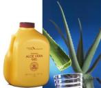 Aloe vera a patológia az endokrin rendszer, Khmelnytskyi Hírek - Je