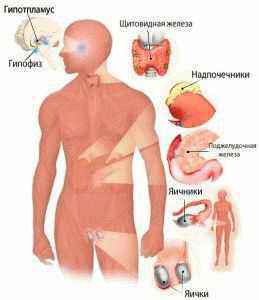 Aloe vera în patologia sistemului endocrin, noviny hmelnitskogo - є