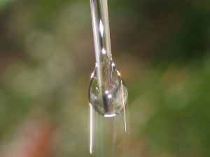 Аномальні властивості води - вода, h2o вода це життя