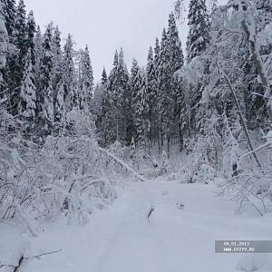 Архангельська область