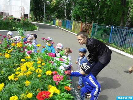 А у нас в садочку гарні квіточки