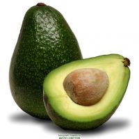 Avocado Foto