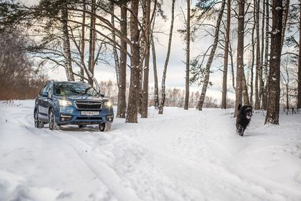 Masini - masini de teren - test - subaru outback 2016