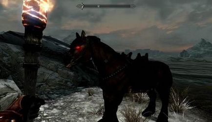 Bugs skyrim - un bug cu un esber