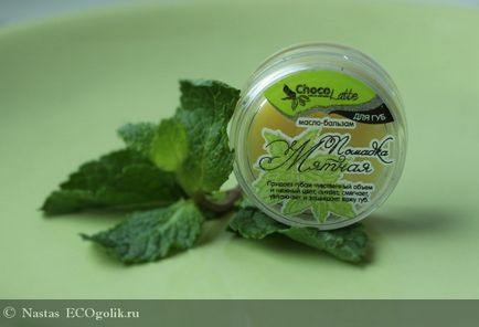 Balsam de buze creion de menta chocolatte - recenzie ecoblogger nastas