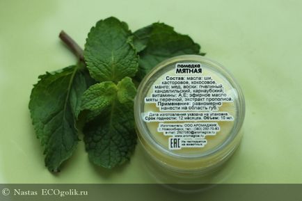 Balsam de buze creion de menta chocolatte - recenzie ecoblogger nastas