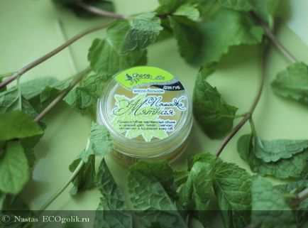 Balsam de buze creion de menta chocolatte - recenzie ecoblogger nastas