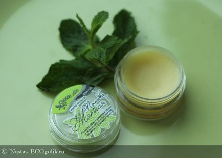 Balsam de buze creion de menta chocolatte - recenzie ecoblogger nastas