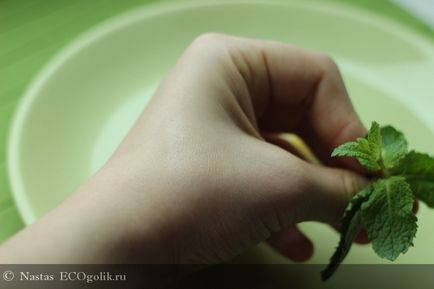 Бальзам-масло для губ помадка м'ятна chocolatte - відгук екоблогера nastas