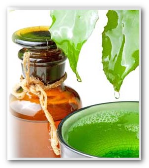 Proprietăți și aplicații ale uleiului de mesteacăn