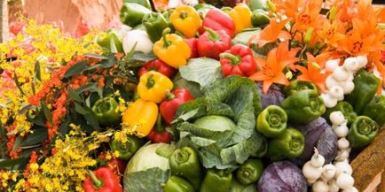 Бізнае план вирощування овочів і зелені в теплицях - кращі бізнес ідеї