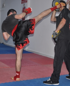 Lovitură laterală, viață cu kickboxing