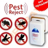 Bórsav hangyák a sík felső 6 receptek csali (hangyák) A bórsav a hangyák a lakásban a felső 6 receptek csali