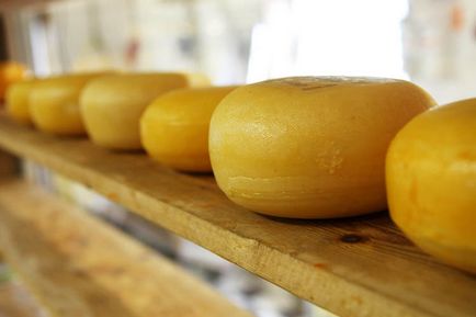Frica de brânză și ombilic sunt cele mai ciudate fobii, ina