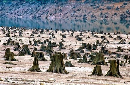 Az emberiség kötődik önmegsemmisítő (ítélve) Az emberiség ítélve önmegsemmisítő