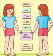 Persoana în întrebări și răspunsuri