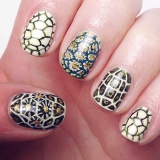 Turtle on nails - idei de fotografie de design