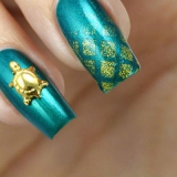 Turtle on nails - idei de fotografie de design