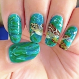 Turtle on nails - idei de fotografie de design