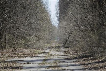 Cernobâl 30 de ani mai târziu 23 de fotografii din orașul-fantomă Pripyat, prins în zona de excludere,