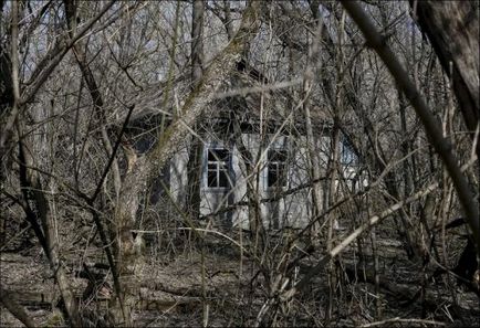 Cernobâl 30 de ani mai târziu 23 de fotografii din orașul-fantomă Pripyat, prins în zona de excludere,