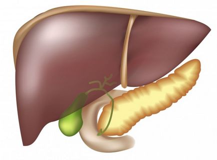 Ce se va întâmpla dacă beți alcool în caz de hepatită