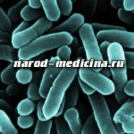 Simptomele și tratamentul listeriozelor, secretele medicinei populare