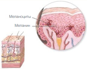 Колір молодості (освітлення шкіри обличчя)