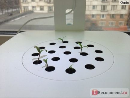 Platforme de flori cu cartușe de plante faceți clic pe mine și mă creșteți - faceți clic pe click inteligent - creșteți o grădină fără