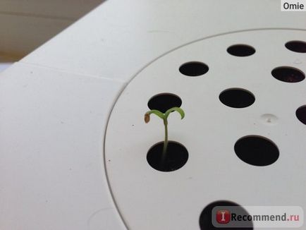 Platforme de flori cu cartușe de plante faceți clic pe mine și mă creșteți - faceți clic pe click inteligent - creșteți o grădină fără