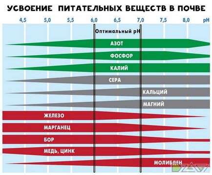 Дефіцит фосфору - хвороби та ін