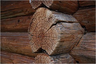 Дерев'яні будинки з оциліндрованих колод помилки при виборі деревини та будівництва будинку
