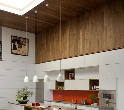 Designul plafonului în bucătărie 60 fotografii