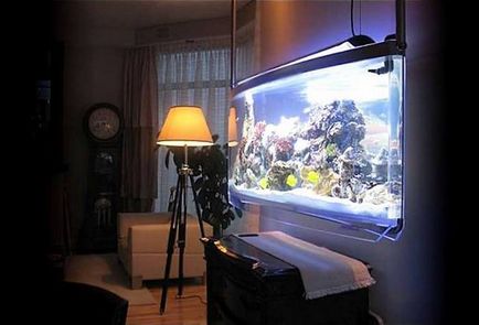 Домашній акваріум