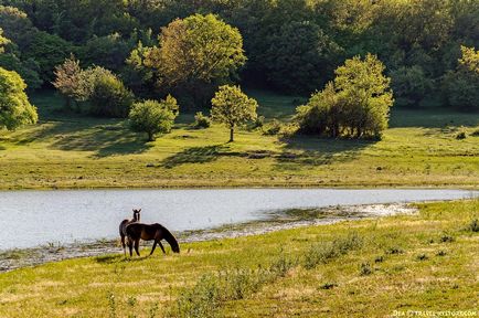 Obiective turistice din Crimeea