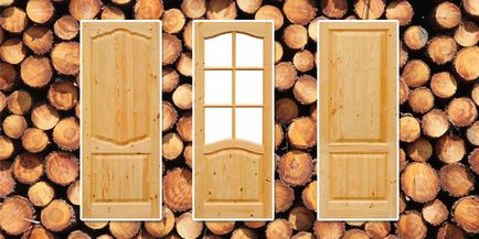 Usi din lemn de interior si de intrare, lemn vopsit din lemn masiv