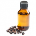 Ефірне масло фенхеля користь, застосування, властивості і лікування