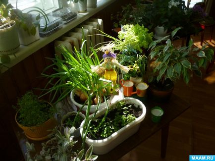 Cameră ecologică în grădiniță