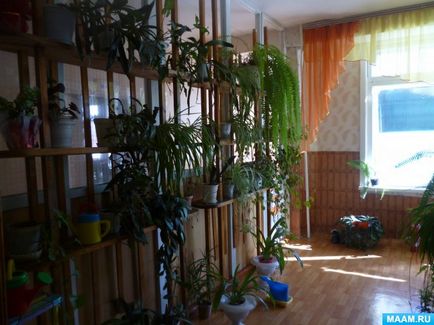 Cameră ecologică în grădiniță